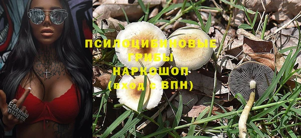 a pvp Абаза