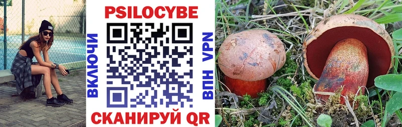 Галлюциногенные грибы Magic Shrooms  купить   Собинка 